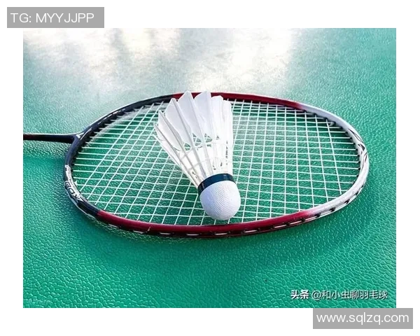 从零基础到高手之路羽毛球速度提升全方位指南